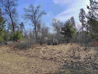 Build your dream home on this stunning Lake Arrowhead Golf - photo 17