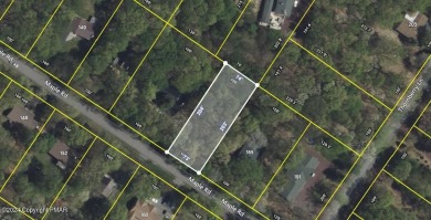 Lake Lot Sale Pending in Blakeslee, Pennsylvania