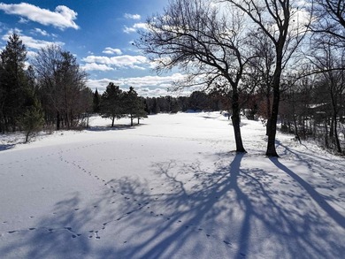 Build your dream home on this stunning Lake Arrowhead Golf - photo 23