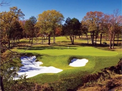 Lake Texoma Lot For Sale in Gordonville Texas