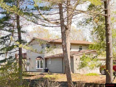 Lake Home For Sale in Elysian, Minnesota