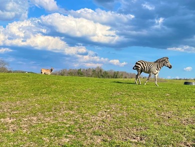 This farm is a working animal farm that is used for tourism - photo 29