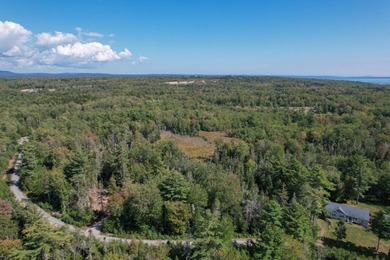 Skillings River Lot For Sale in Lamoine Maine