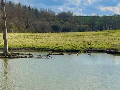 This farm is a working animal farm that is used for tourism - photo 34