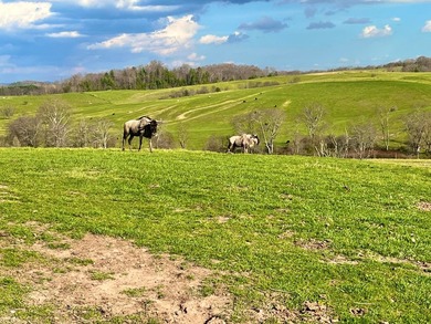 This farm is a working animal farm that is used for tourism - photo 35