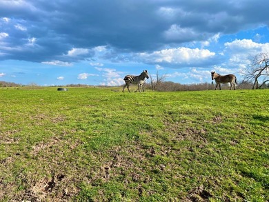 This farm is a working animal farm that is used for tourism - photo 41