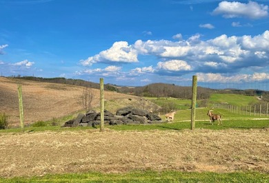 This farm is a working animal farm that is used for tourism - photo 43