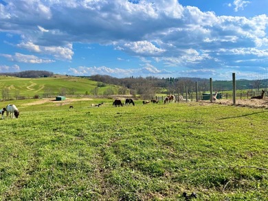 This farm is a working animal farm that is used for tourism - photo 45