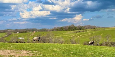 This farm is a working animal farm that is used for tourism - photo 46