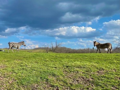 This farm is a working animal farm that is used for tourism - photo 47