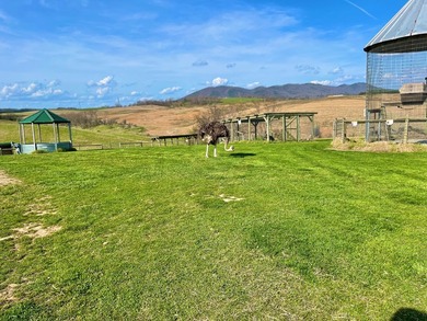 This farm is a working animal farm that is used for tourism - photo 48