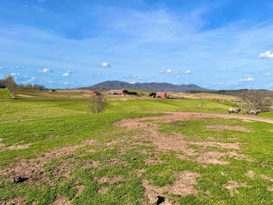 This farm is a working animal farm that is used for tourism - photo 49