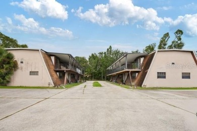 Lake Hunter Townhome/Townhouse Sale Pending in Lakeland Florida