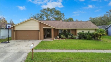 Lake Home For Sale in Valrico, Florida