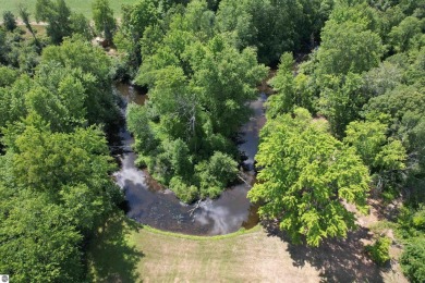 (private lake, pond, creek) Lot For Sale in Barryton Michigan
