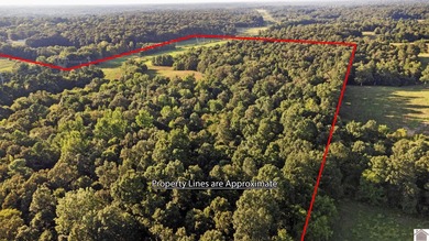 80 acres of opportunity await! Tillable farmland paired with - photo 11