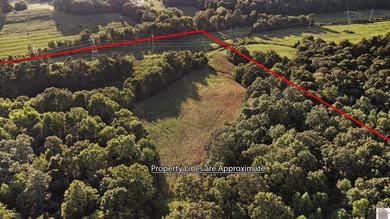 80 acres of opportunity await! Tillable farmland paired with - photo 13
