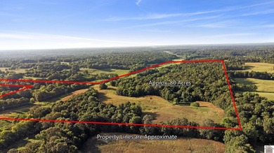 80 acres of opportunity await! Tillable farmland paired with - photo 15