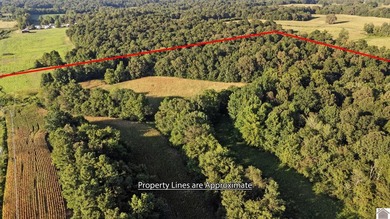 80 acres of opportunity await! Tillable farmland paired with - photo 24