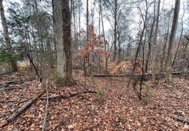 Lake Lot For Sale in Westminster, South Carolina