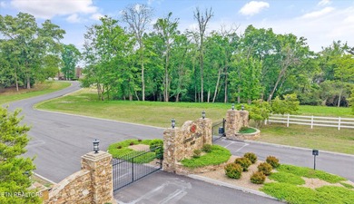 Lot 237 E Shore Dr. is located in the beautiful Grande Vista Bay - photo 5