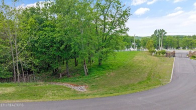 Lot 237 E Shore Dr. is located in the beautiful Grande Vista Bay - photo 6