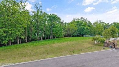 Lot 237 E Shore Dr. is located in the beautiful Grande Vista Bay - photo 7