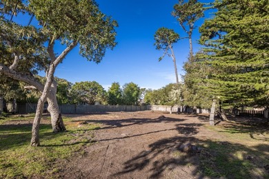 Rare flat lot in Country Club West just .6 miles from Seal Rock - photo 5