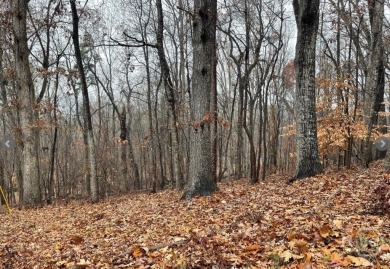 Lake Lot For Sale in Westminster, South Carolina