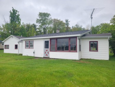 Lake Home For Sale in Beaverton, Michigan
