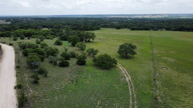 31.1 acres on the outskirts of Morgan, Texas features abundant - photo 3
