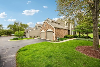 Experience the height of luxury living in one of Naperville's - photo 2