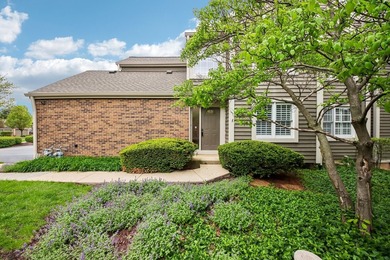 Experience the height of luxury living in one of Naperville's - photo 3