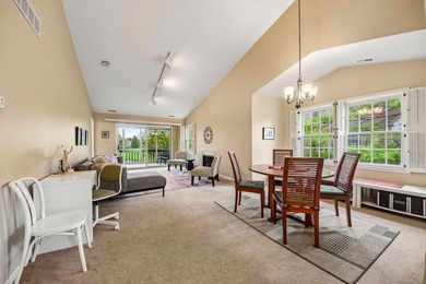 Experience the height of luxury living in one of Naperville's - photo 4