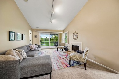 Experience the height of luxury living in one of Naperville's - photo 5