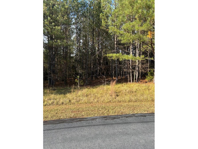 Lake Lot For Sale in Cross Hill, South Carolina