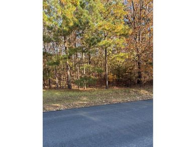Lake Lot For Sale in Cross Hill, South Carolina