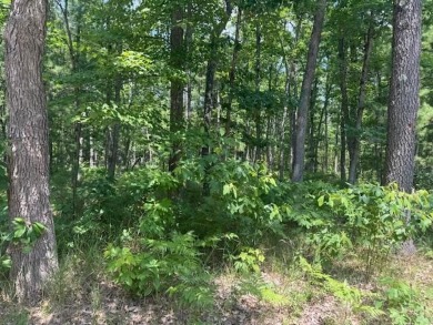 Lake Acreage For Sale in Bitely, Michigan