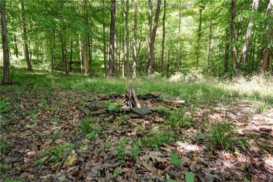 Nestled along the serene Elk River, Lazy K offers a rare - photo 43
