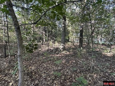 Lake Lot For Sale in Midway, Arkansas