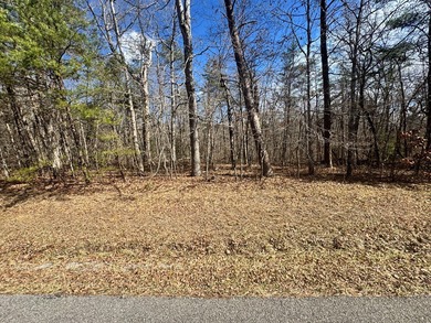 This lot in Cumberland Lakes is conveniently located between - photo 2