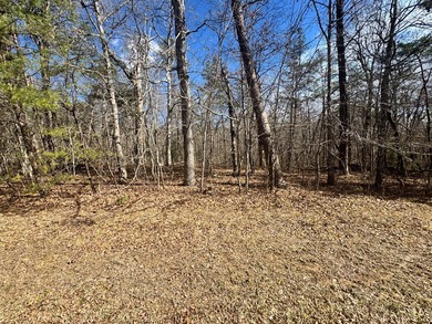 This lot in Cumberland Lakes is conveniently located between - photo 5