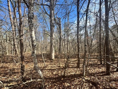 This lot in Cumberland Lakes is conveniently located between - photo 6