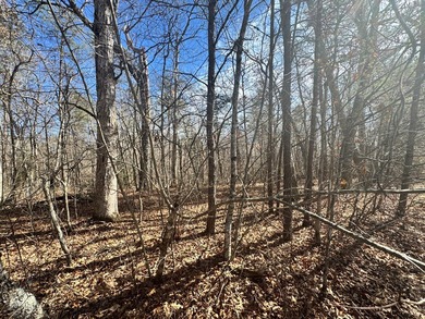 This lot in Cumberland Lakes is conveniently located between - photo 7