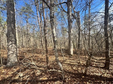 This lot in Cumberland Lakes is conveniently located between - photo 8