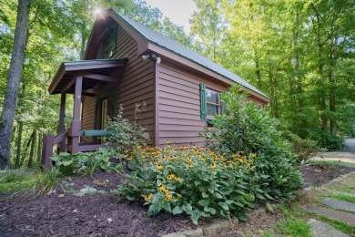 Lake Home For Sale in Blue Ridge, Georgia