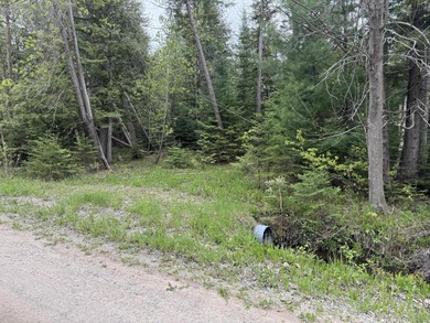 Burt Lake Lot For Sale in Alanson Michigan