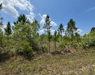 Lake Lot For Sale in Indian Lake Estates, Florida