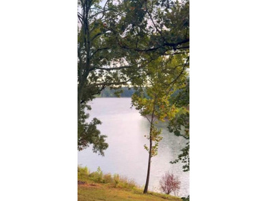 Experience the perfect balance of luxury and seclusion in this - photo 18