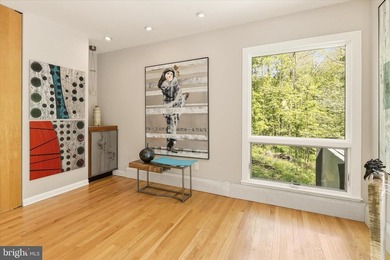 Creating a rare live/work/play opportunity in Carroll County - photo 19